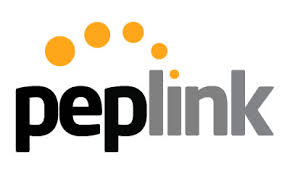 Logo - Peplink